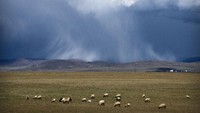 Tibet adalah daerah yang selalu dihindari pilot ketika menerbangkan pesawat. Tibet dikenal memiliki kondisi geografis yang ekstrem. Daerah yang menjadi bagian China itu berada di dataran tinggi dan dikelilingi pegunungan. Ketinggian rata-rata di sana adalah 4.500 meter. Dengan ketinggian itu, pesawat tidak akan punya cukup waktu untuk turun bila ada keadaan darurat. Foto: AP/Mark Schiefelbein 