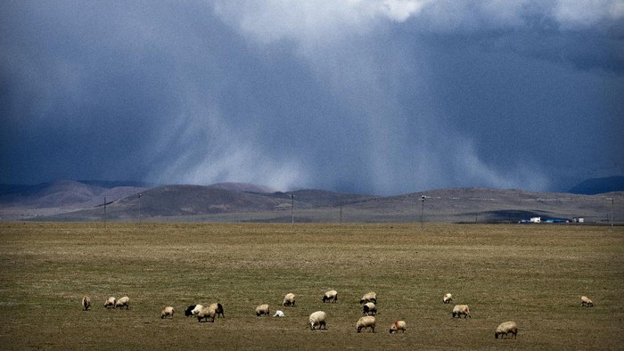 Daratan Tibet merupakan salah satu daerah yang berada di wilayah Cina. Tibet juga dikenal sebagai provinsi dengan wilayah yang paling tinggi di bumi. AP Photo/Mark Schiefelbein)