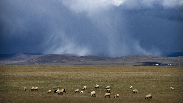 Tibet adalah daerah yang selalu dihindari pilot ketika menerbangkan pesawat. Tibet dikenal memiliki kondisi geografis yang ekstrem. Daerah yang menjadi bagian China itu berada di dataran tinggi dan dikelilingi pegunungan. Ketinggian rata-rata di sana adalah 4.500 meter. Dengan ketinggian itu, pesawat tidak akan punya cukup waktu untuk turun bila ada keadaan darurat. Foto: AP/Mark Schiefelbein Tibet adalah daerah yang selalu dihindari pilot ketika menerbangkan pesawat. Tibet dikenal memiliki kondisi geografis yang ekstrem. Daerah yang menjadi bagian China itu berada di dataran tinggi dan dikelilingi pegunungan. Ketinggian rata-rata di sana adalah 4.500 meter. Dengan ketinggian itu, pesawat tidak akan punya cukup waktu untuk turun bila ada keadaan darurat. Foto: AP/Mark SchiefelbeinÂ