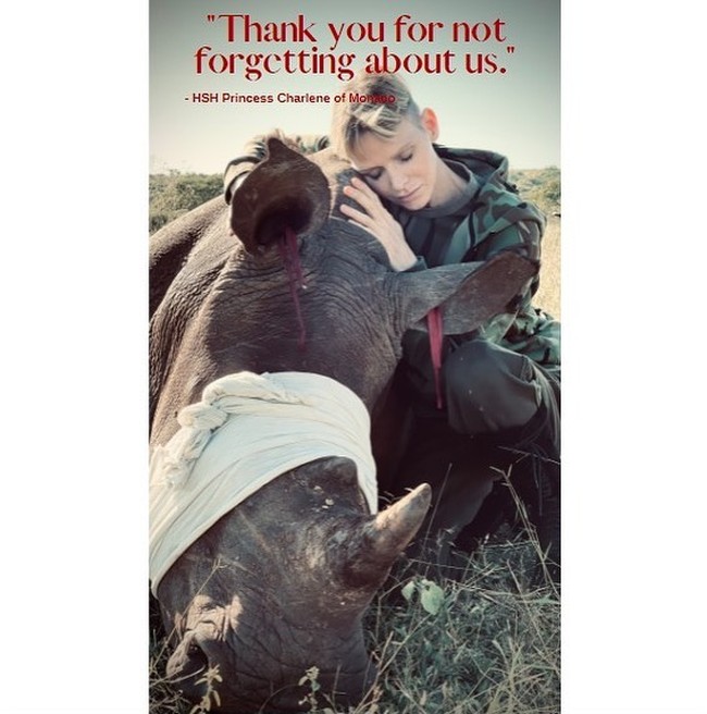 Aku sangat tahu itu. Dan aku tidak ingin berkata apa-apa untuk mereka, selain bahwa kita hidup di 2021 dan waktu ini sangat menyusahkan, sangat menyulitkan, ada hal lain yang lebih penting yang berhak jadi perhatian kita, ujarnya. Foto: Instagram @hshprincesscharle