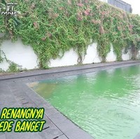 Bukan rumah mewah namanya tanpa kolam renang. Rumah Vicky Prastyo dan Kalina Ocktaranny pun memiliki kolam renang. (Foto: YouTube/Ussy Andhika Official)