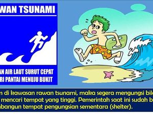 Upaya BPBD Jatim soal 8 Kabupaten Potensi Terjadi Tsunami