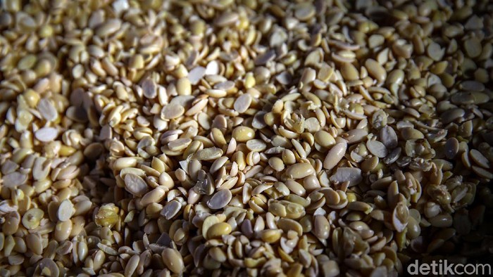 Waduh, Harga Tempe Diprediksi Naik Gegara Kedelai Mahal Kenaikan harga kedelai impor berdampak pada harga tempe dipasaran. Kementerian Pedagangan pun memberi sinyal bahwa harga tahu dan tempe akan kembali naik.