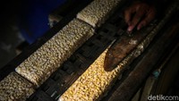 Meski alami penyesuaian, pemerintah memastikan ketersediaan bahan baku tempe dan tahu di dalam negeri. Pemerintah pun telah bekerja sama dengan pemangku kepentingan untuk memastikan stok kedelai meski dengan harga yang disesuaikan akibat produsen kedelai internasional seperti Amerika Serikat belum memasuki panen raya.