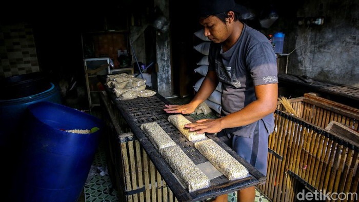 Waduh, Harga Tempe Diprediksi Naik Gegara Kedelai Mahal Kenaikan harga kedelai impor berdampak pada harga tempe dipasaran. Kementerian Pedagangan pun memberi sinyal bahwa harga tahu dan tempe akan kembali naik.