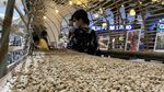 Ada Tempat Instagramable Bagi Pecinta Kopi Nih