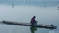 Sajinu berkeliling mencari lokasi tempat ikan berkumpul.