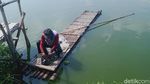 Menyambung Hidup dengan Jaring Ikan di Rawa Jombor Klaten