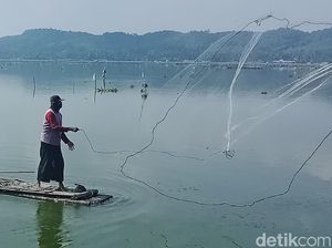 Menyambung Hidup dengan Jaring Ikan di Rawa Jombor Klaten