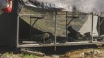 Momen Pelepasliaran Berang-berang di Sungai Ciliwung