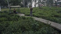 Bagaimana menurut Anda?