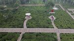 Wisata Kebun Teh Ini Ada di Batang Lho Gaes