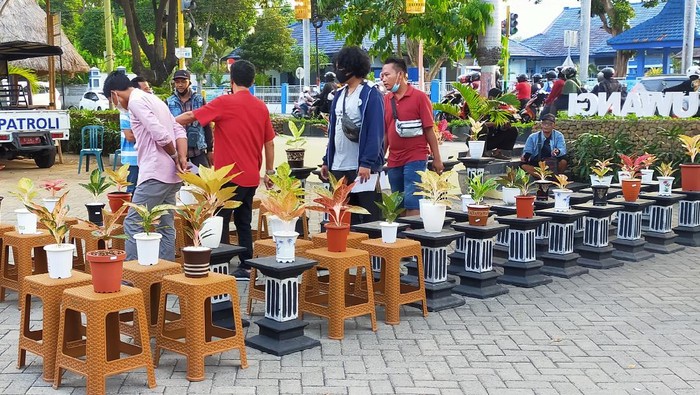 Banyuwangi Gelar Kontes dan Lelang Tanaman Hias