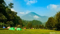 Di Cibodas, Cianjur, Jawa Barat, tempat yang asyik untuk berkemah antara lain Mandalawangi Camping Ground dan Bukit Golf Cibodas.