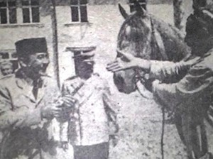 Kuda dan Tiga Presiden Kita