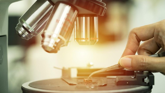 Mikroskop close up laboratory microscope, science and research concept