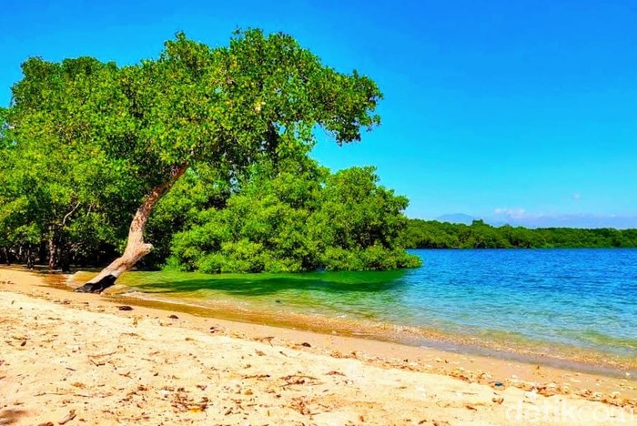 Pantai Sejile, Pantai Pasir Putih Tersembunyi di Situbondo