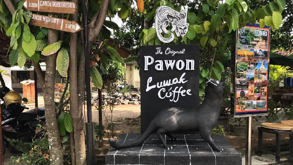 Seru! Di Dekat Borobudur Bisa Belajar Soal Kopi Luwak di Kafe Ini