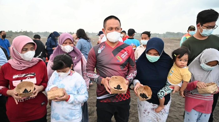 Pelapasan Tukik di Pantai di Kebumen