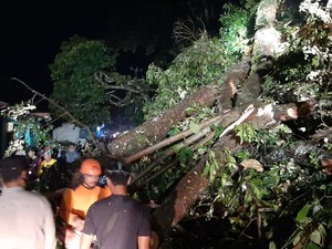 Pohon Tumbang Timpa Rumah-Melintang di Jalan Cikakak Sukabumi