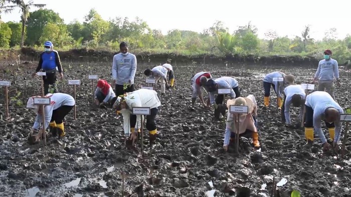 Yu Darsi yang Diluncurkan Pemkab Kebumen
