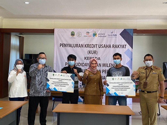 bank bjb