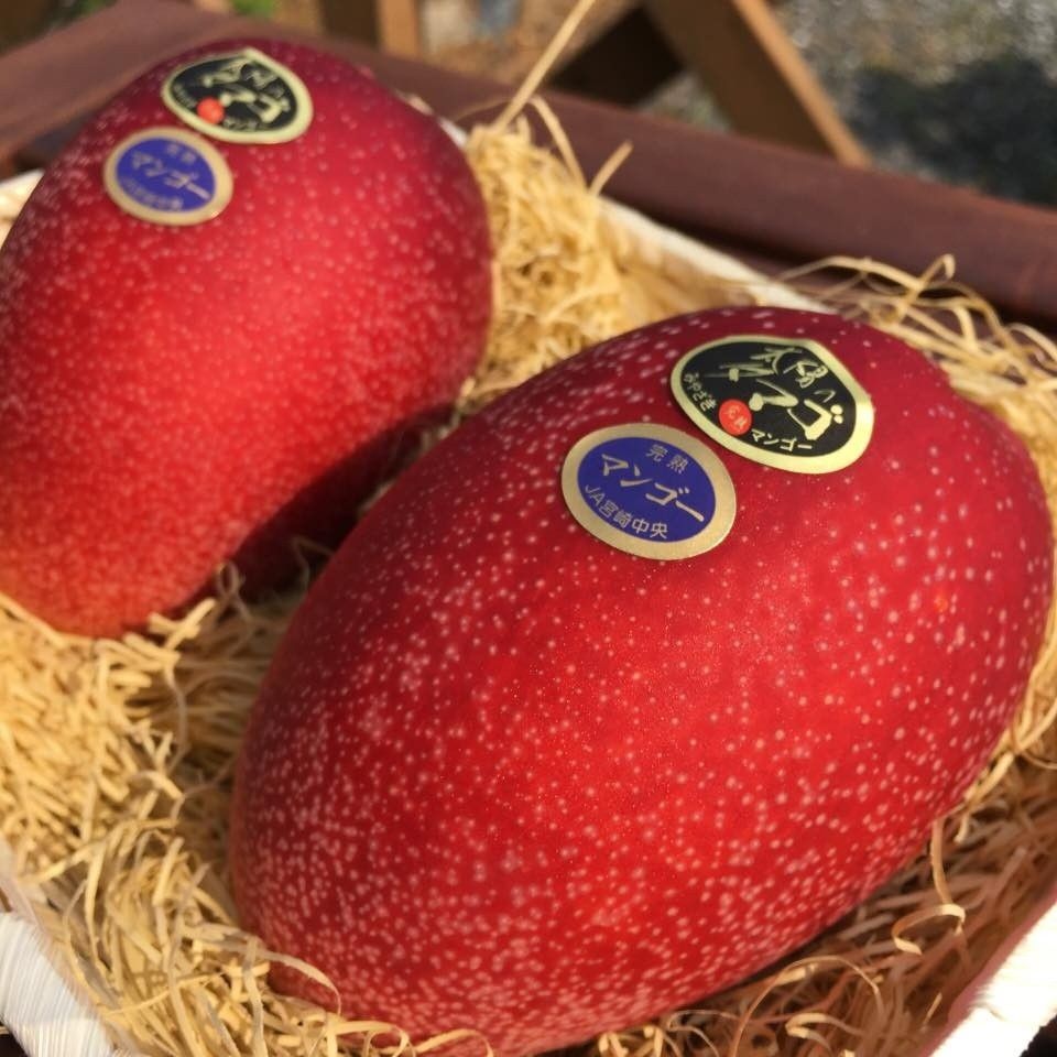 Mewah! Ini 5 Buah Termahal di Jepang, Ada yang Mencapai Rp 672 Juta