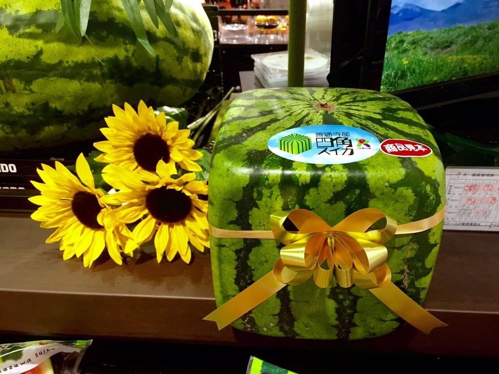 Mewah! Ini 5 Buah Termahal di Jepang, Ada yang Mencapai Rp 672 Juta