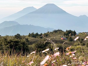 Aksi Bersih Gunung Prau Hasilkan 934 Kg Sampah, Banyak Sampah Purba