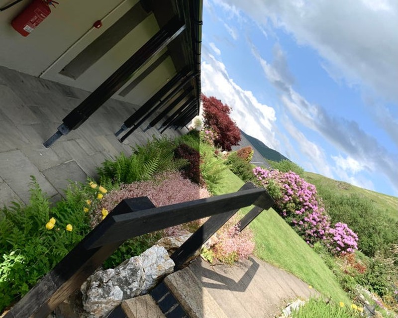 Gambar pengecoh mata