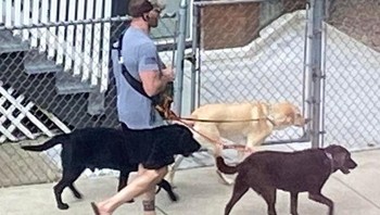 Akibat celana hitam si pria membuat foto ini membingungkan ya. Foto: dok reddit.com/confusing_perspective