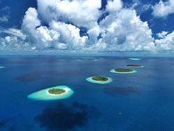 Awas! Foto Ini Mengecoh Kalo Cuma Dilihat Sekilas