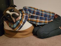 Awas! Foto Ini Mengecoh Kalo Cuma Dilihat Sekilas