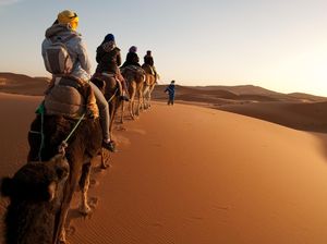 Rahasia Kuno Gurun Sahara dan Biografi Nabi Muhammad di Daun Emas