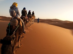 Rahasia Kuno Gurun Sahara dan Biografi Nabi Muhammad di Daun Emas