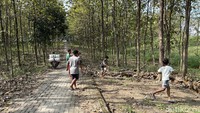 Sebagai seorang petani dari Desa Ploso Kediren, Randublatung, Blora dan lahir di tahun 1859, Samin Soerosentiko menolak sistem tatasan sosial yang memberatkan wong cilik. Itu karena ada penerapan standar barat.