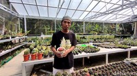Menurut Joko, naiknya penjualan di masa pandemi bukan tanpa alasan. Masyarakat yang kekinian lebih sering di rumah guna menghindari paparan virus telah merasa jenuh.   
