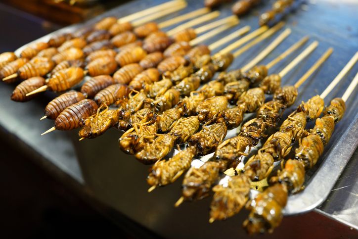 Cicada Jadi Makanan Masa Depan, Peneliti Sebut Risiko Konsumsinya