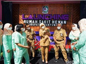 Banyuwangi Kini Punya Rumah Sakit Khusus Hewan, Fasilitas UGD Hingga Rawat Inap