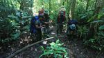 Kerja Keras Para Jagawana Hutan Leuser