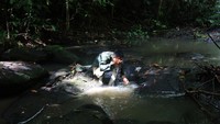 Kamera jebak pun dipasang untuk memantau perkembangan satwa penghuni KEL.  