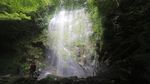 Kerja Keras Para Jagawana Hutan Leuser