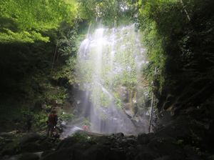 Cerita Fotografer Lihat Big Foot Kecil Misterius di Sumatra