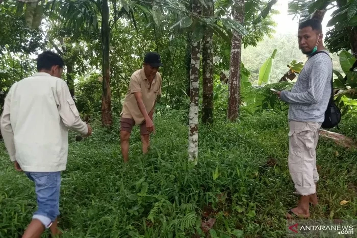 Warga Gantiang, Jorong Pasa Palambayan, Nagari IV Koto Pelembayan, Palembayan, Kabupaten Agam, Sumbar, memperlihatkan lokasi makhluk misterius. Warga Gantiang, Jorong Pasa Palambayan, Nagari IV Koto Pelembayan, Palembayan, Kabupaten Agam, Sumbar, memperlihatkan lokasi makhluk misterius.