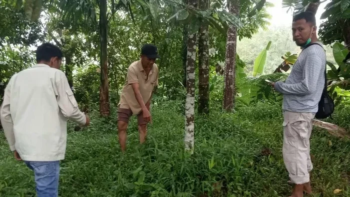 Warga Gantiang, Jorong Pasa Palambayan, Nagari IV Koto Pelembayan, Palembayan, Kabupaten Agam, Sumbar, memperlihatkan lokasi makhluk misterius.