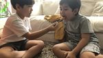 Bikin Gemes! Gaya Lucu Rafathar Saat Makan Es Krim hingga Mie Ayam