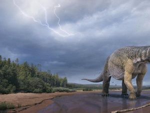 Ilmuwan Temukan Fosil Spesies Dinosaurus Terbesar di Australia