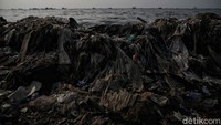 Sebuah studi menunjukkan bahwa ada lebih banyak sampah plastik tepat berada di bawah permukaan Samudra Atlantik pada masa kini, dibanding total seluruh plastik yang beredar di sana sejak 1950.  