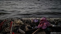 Lautan di Bumi diperkirakan berisi 150 juta ton sampah plastik, yang seringkali berbentuk partikel mikroplastik. Pecahan-pecahan kecil tersebut telah terdeteksi di seluruh lautan yang ada di Bumi. Bahkan, di dasar palung terdalam di planet ini.  