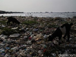 Limbah Anorganik : Contoh dan Cara Pengelolaannya